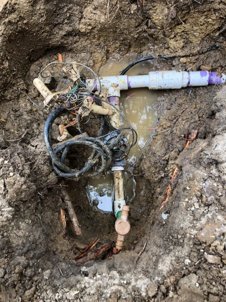 Custom landscape design experts serving Larkspur, CO - California Dreaming Irrigation
