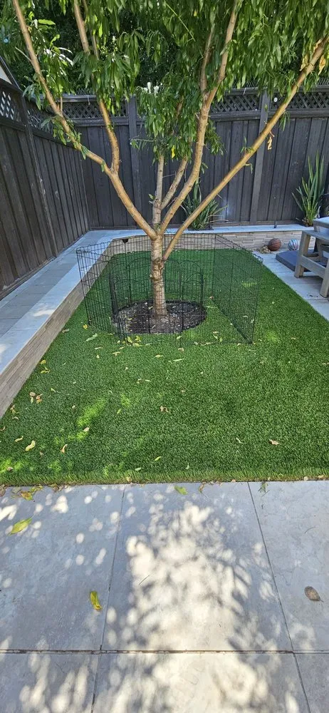 Expert yard maintenance in Freedom, CA by California Dreamscapes