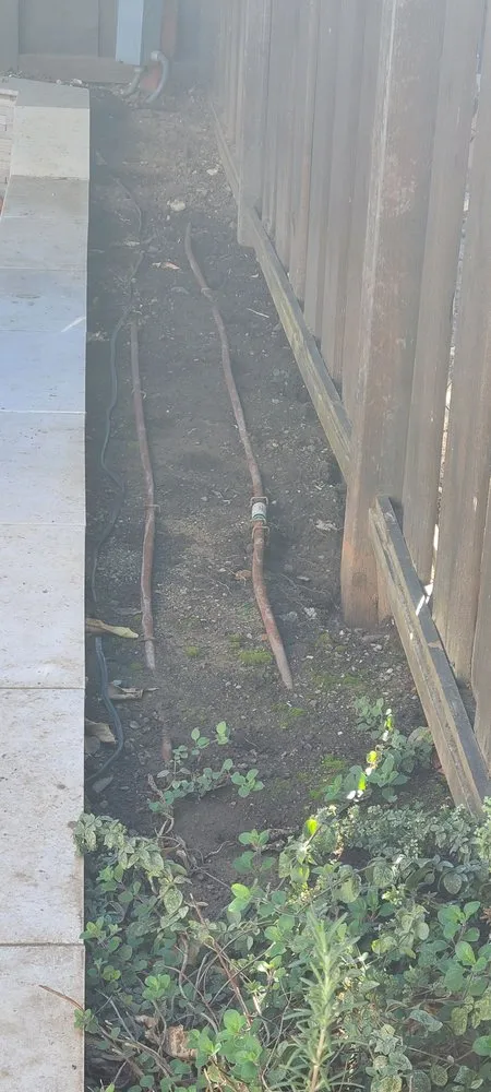 Reliable yard cleanup service in Freedom, CA by California Dreamscapes