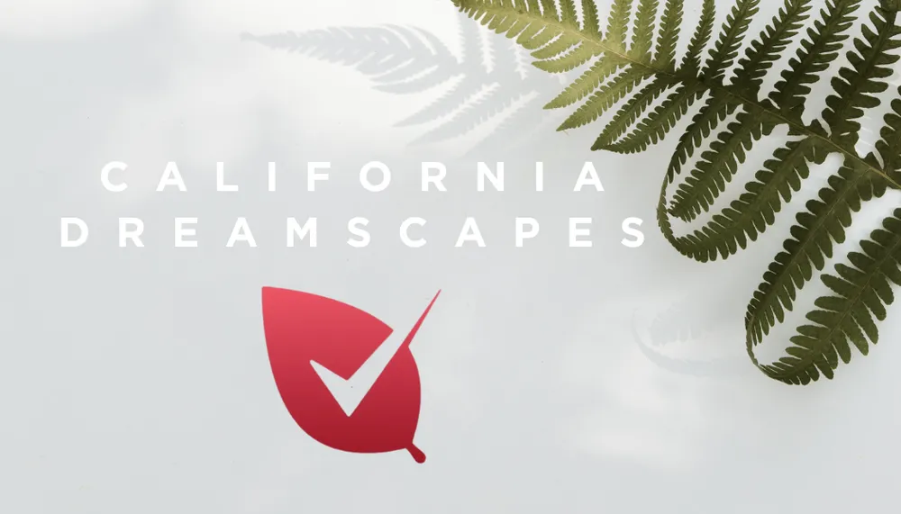 Professional lawn mowing service for residential properties across Freedom, CA - California Dreamscapes