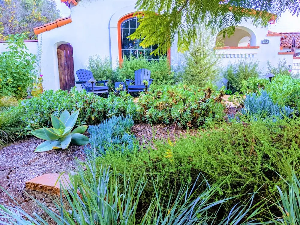 Local yard maintenance experts serving Long Beach, CA - California Eco Design