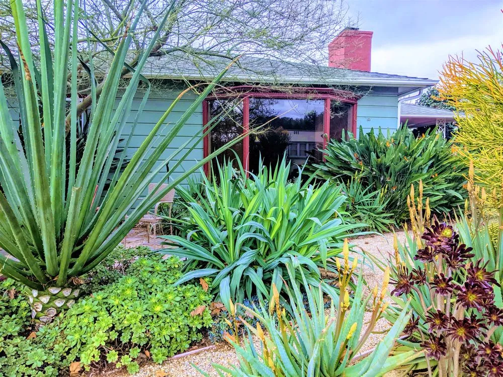 Expert garden landscaping near you in Long Beach, CA by California Eco Design