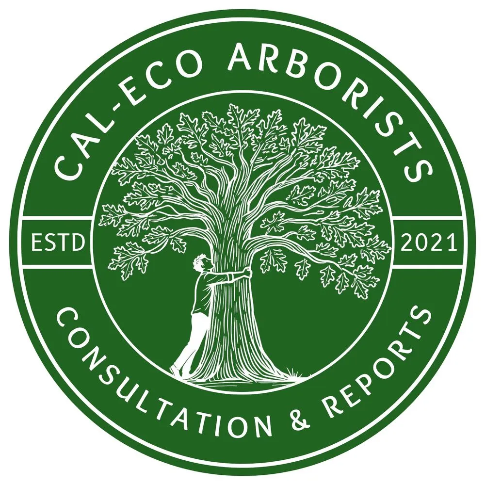 Top-rated landscaping services in Los Angeles, CA by California Ecology Arborists
