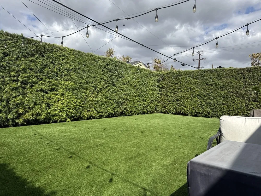 Trusted lawn care service for year-round maintenance in Los Angeles, CA by California Ecology Arborists