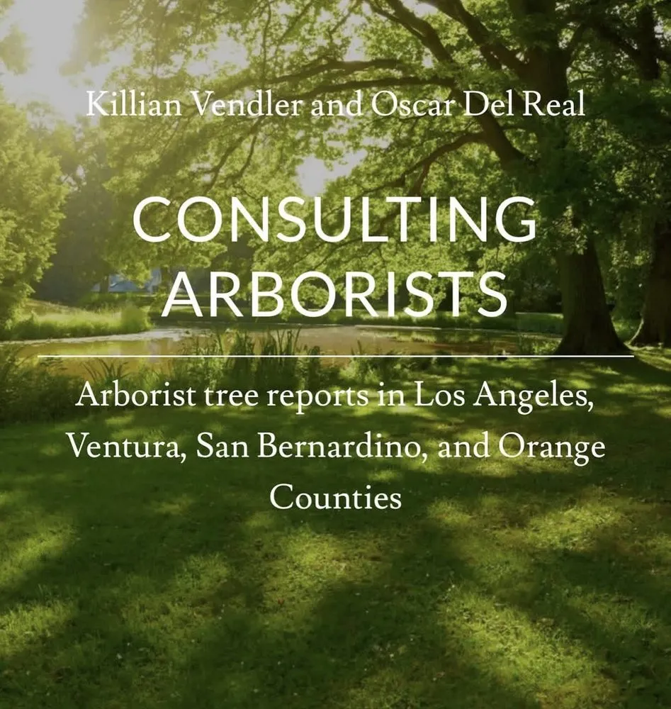 Professional lawn mowing service in Los Angeles, CA - California Ecology Arborists