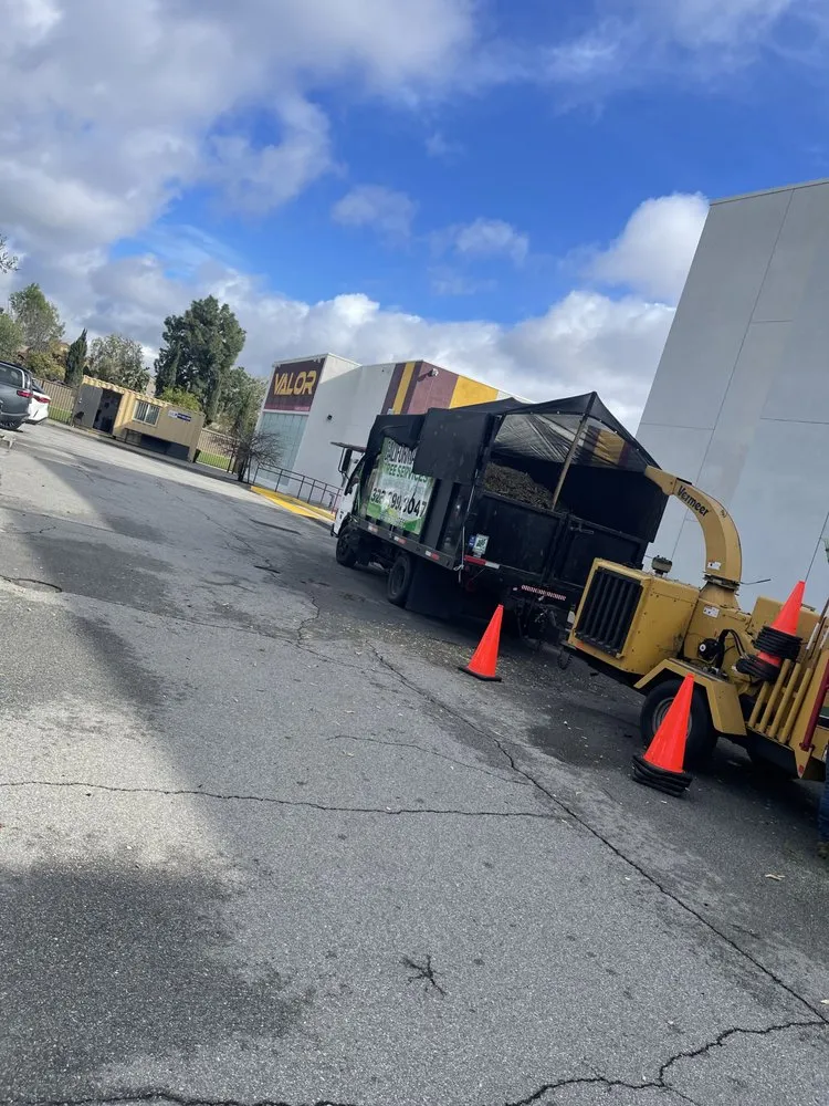 Professional landscape installation with custom design across Los Angeles, CA - California Elite Tree Services & Maintenance