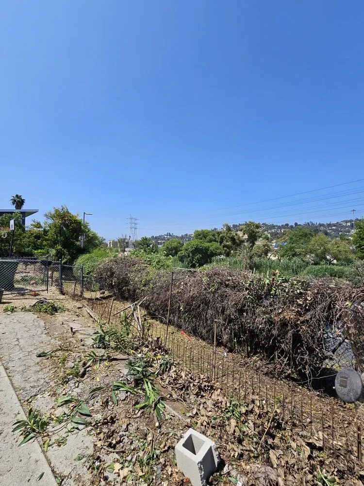 Trusted yard cleanup service in Los Angeles, CA by California Elite Tree Services & Maintenance