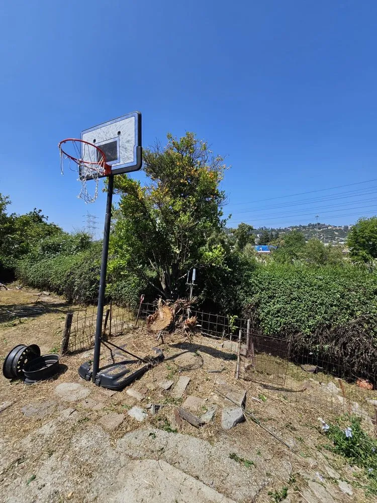 Trusted lawn mowing service with custom design in Los Angeles, CA by California Elite Tree Services & Maintenance