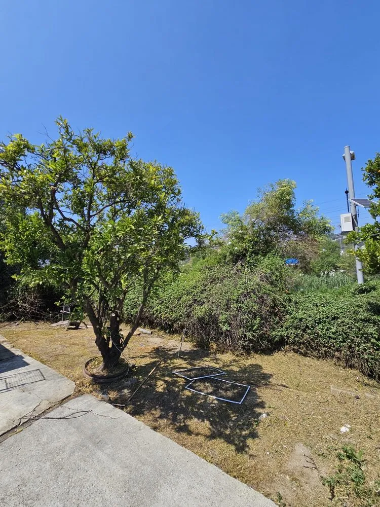 Professional garden landscaping experts serving Los Angeles, CA - California Elite Tree Services & Maintenance