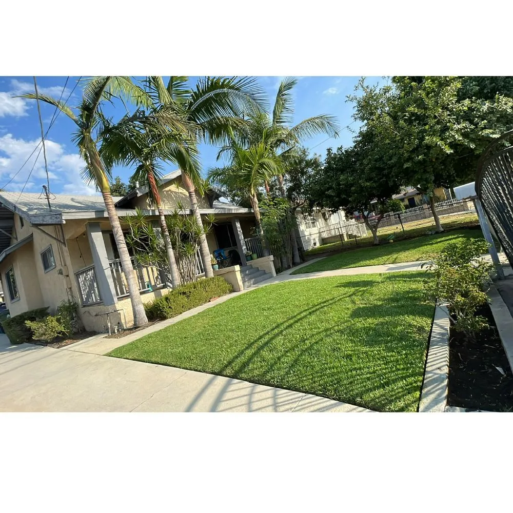 Expert landscape design in Los Angeles, CA by California Elite Tree Services & Maintenance