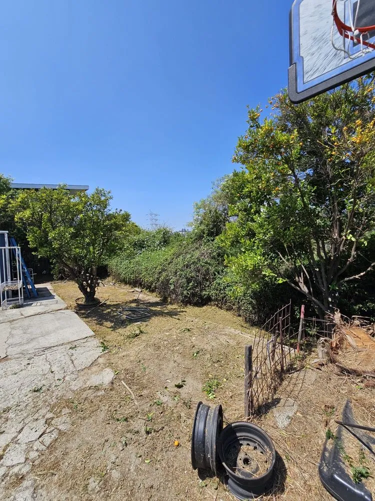 Local lawn mowing service experts serving Los Angeles, CA - California Elite Tree Services & Maintenance