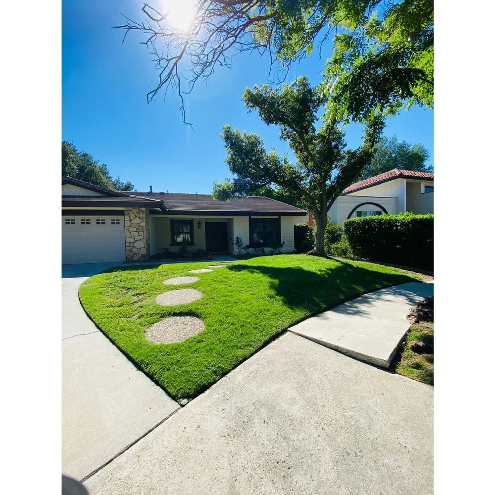 Expert lawn care service in Los Angeles, CA - California Elite Tree Services & Maintenance