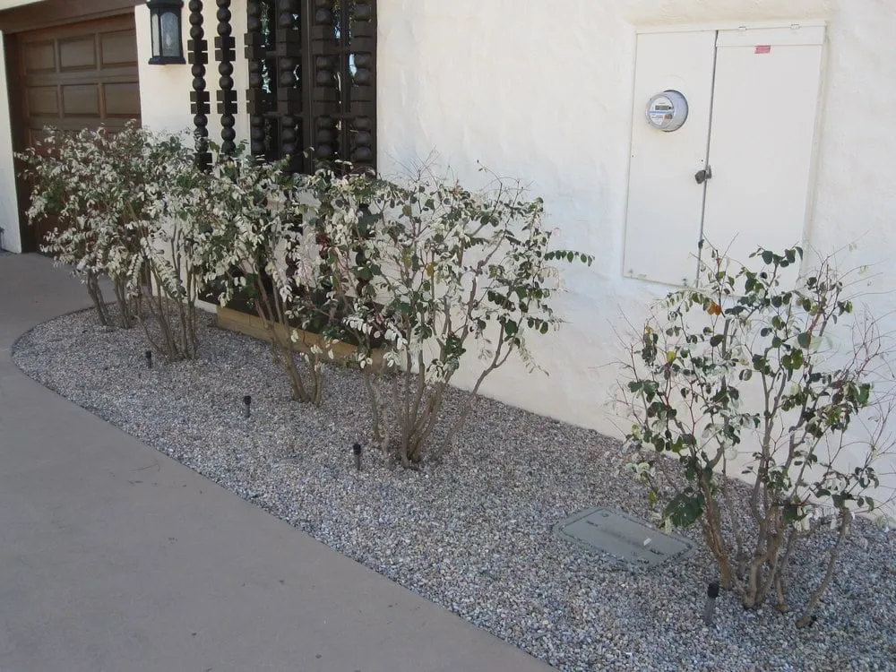 Professional lawn mowing service experts serving El Cajon, CA - California Exteriors Landscape and Tree Service