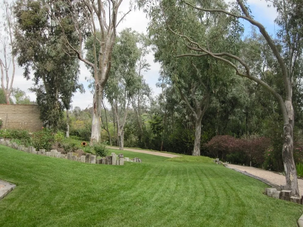 Trusted landscape installation in El Cajon, CA by California Exteriors Landscape and Tree Service