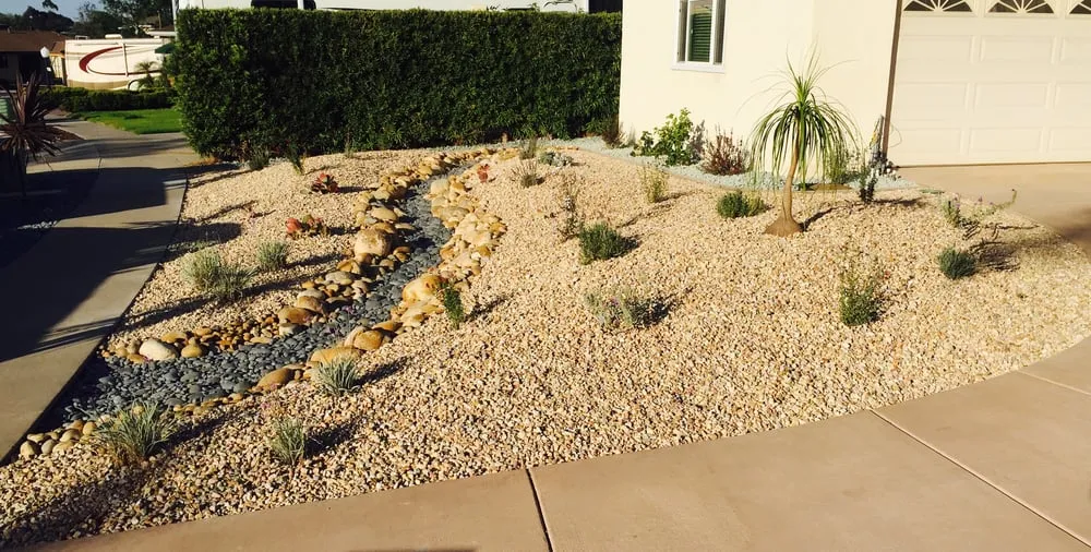 Expert yard cleanup service experts serving El Cajon, CA - California Exteriors Landscape and Tree Service