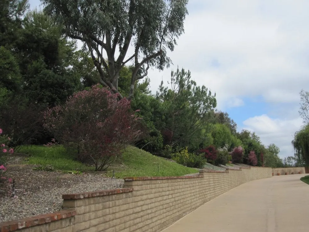 Trusted yard cleanup service near you in El Cajon, CA by California Exteriors Landscape and Tree Service