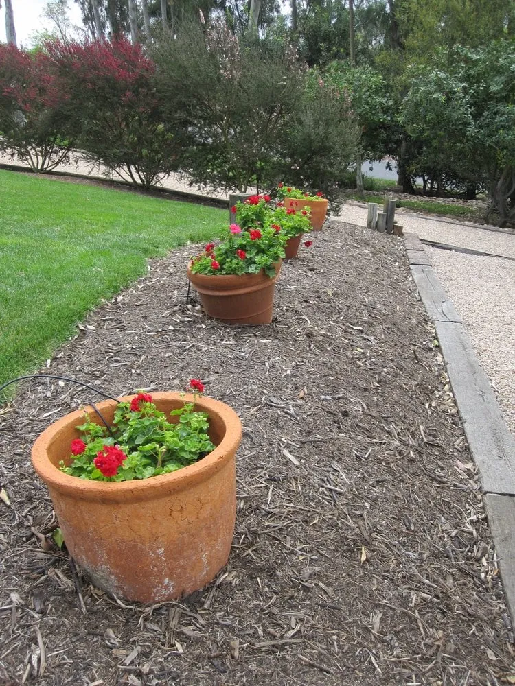 Top-rated lawn mowing service for year-round maintenance in El Cajon, CA by California Exteriors Landscape and Tree Service