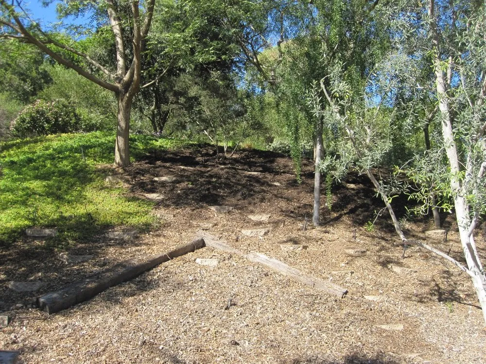 Top-rated lawn mowing service for year-round maintenance across El Cajon, CA - California Exteriors Landscape and Tree Service