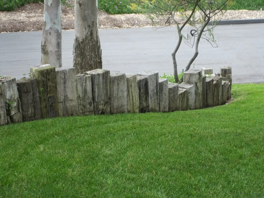 Local yard cleanup service in El Cajon, CA - California Exteriors Landscape and Tree Service