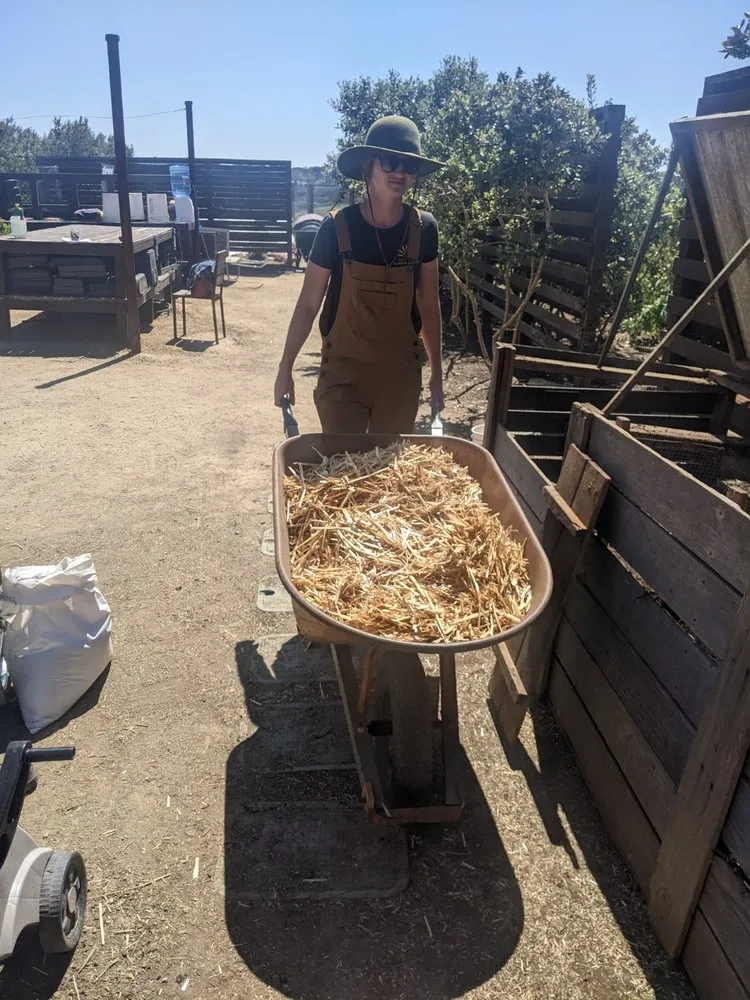 Trusted landscaping services for beautiful yards in San Diego, CA by California Farm and Garden