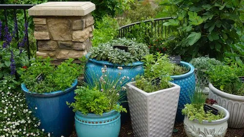 Affordable lawn mowing service experts serving San Diego, CA - California Farm and Garden