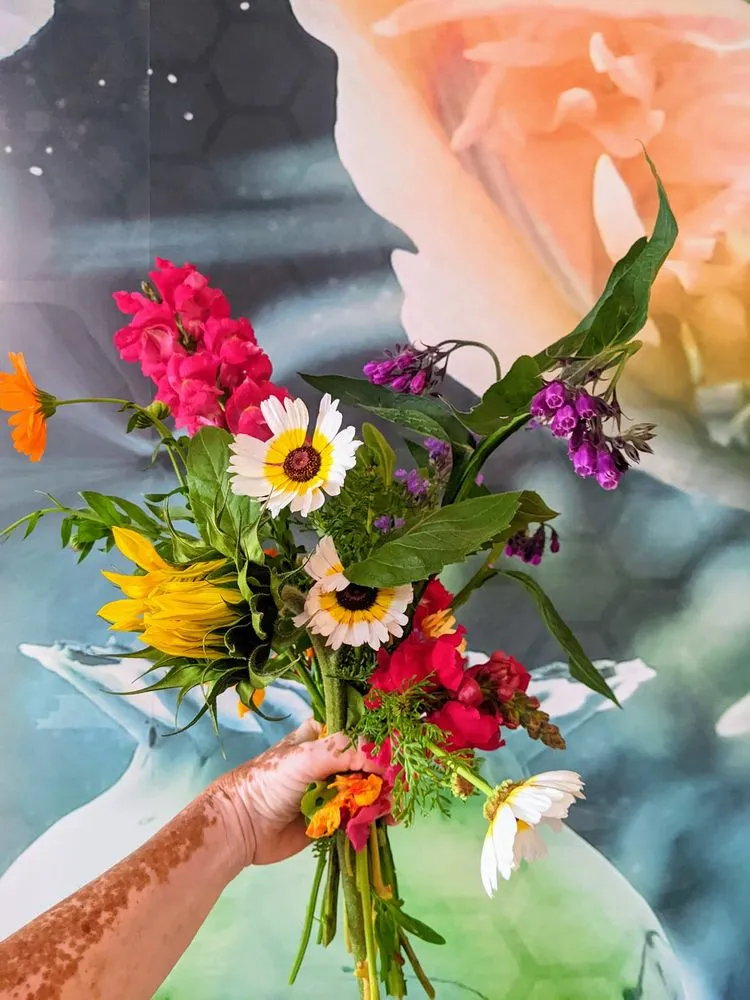 Expert residential landscaping in San Diego, CA by California Farm and Garden