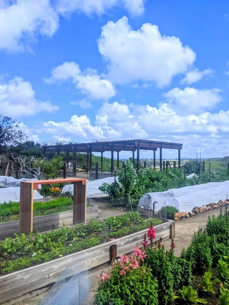 Professional outdoor landscaping for residential properties across San Diego, CA - California Farm and Garden