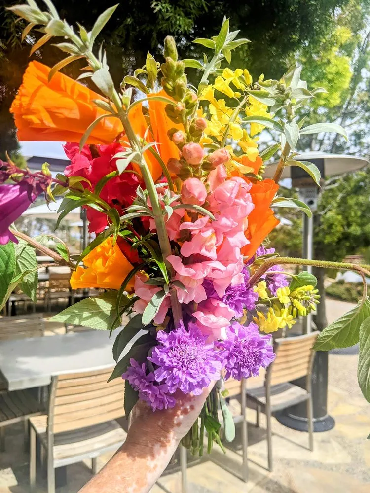 Top-rated landscape installation experts serving San Diego, CA - California Farm and Garden