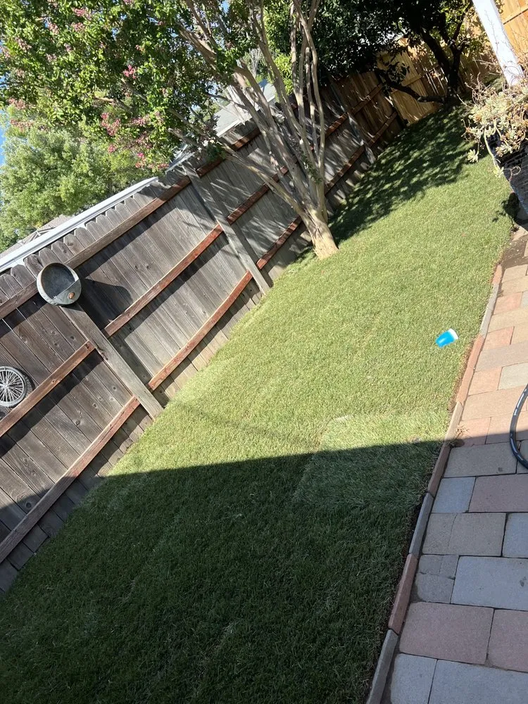 Reliable lawn care service in Sacramento, CA - California Good Vibes