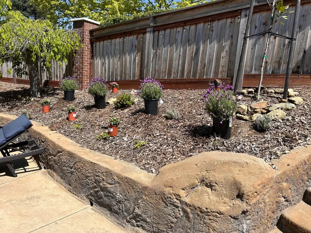 Top-rated lawn mowing service for homes across Sacramento, CA - California Good Vibes