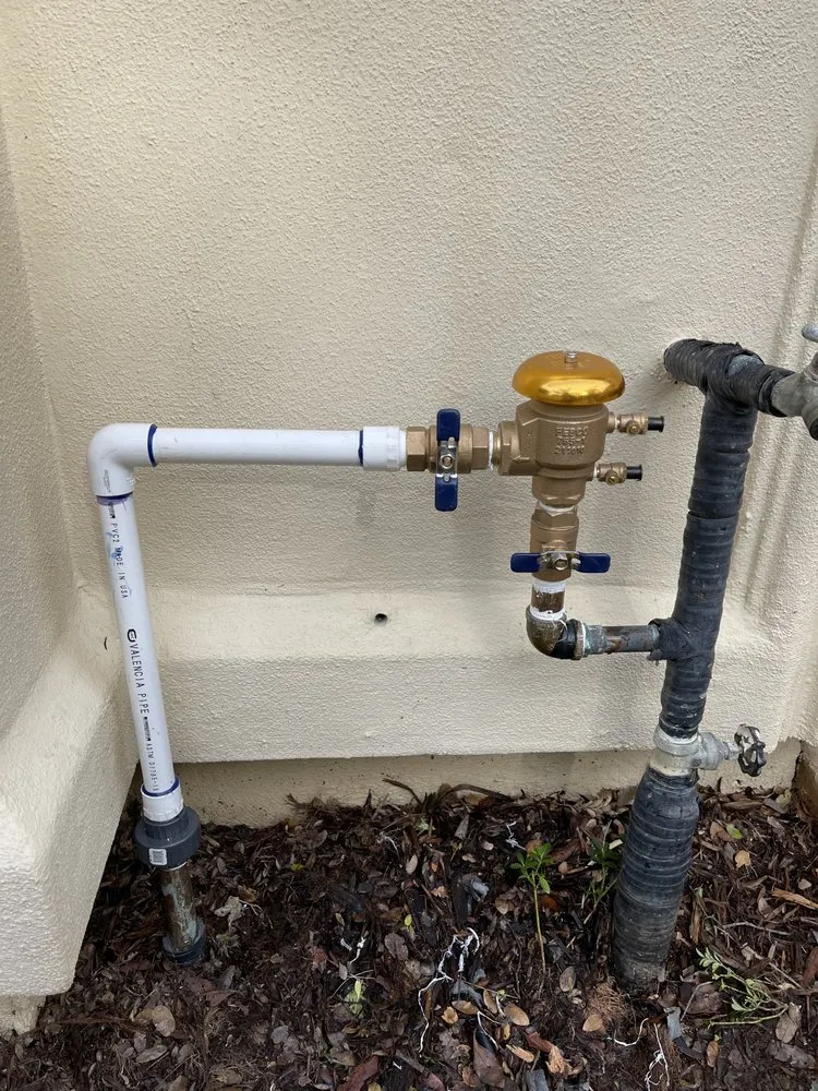 Affordable yard cleanup service for residential properties across Sacramento, CA - California Good Vibes