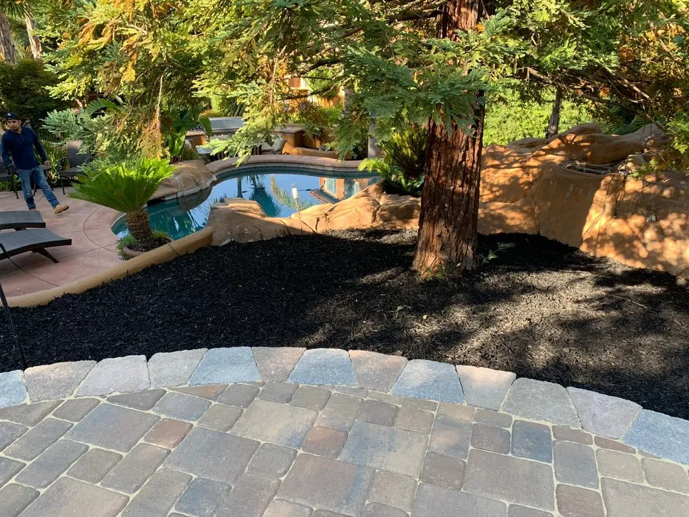 Reliable landscape design with custom design across El Dorado Hills, CA - California Green Garden