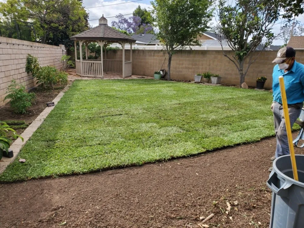 Professional landscaping services experts serving Orange, CA - California Green Irrigation and Landscape