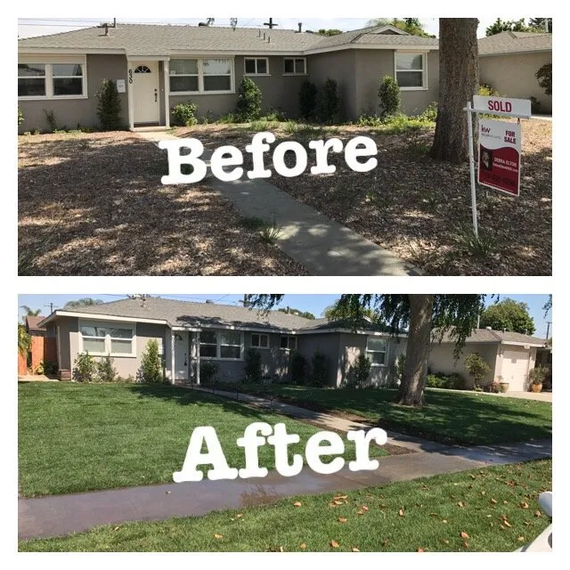 Professional garden landscaping in Orange, CA by California Green Irrigation and Landscape