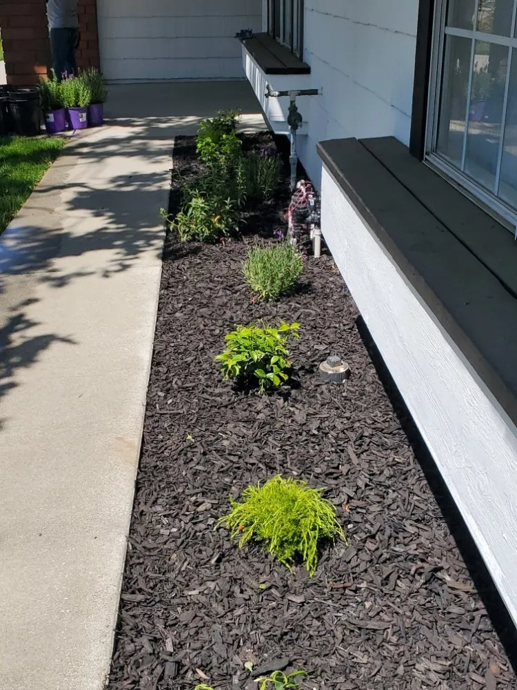 Custom residential landscaping experts serving Orange, CA - California Green Irrigation and Landscape