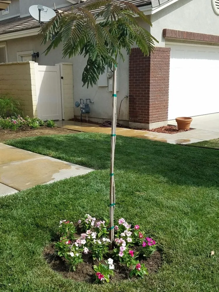Custom landscaping services in Orange, CA - California Green Irrigation and Landscape