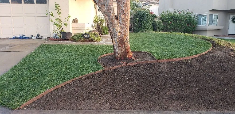 Professional landscape installation in Orange, CA - California Green Irrigation and Landscape