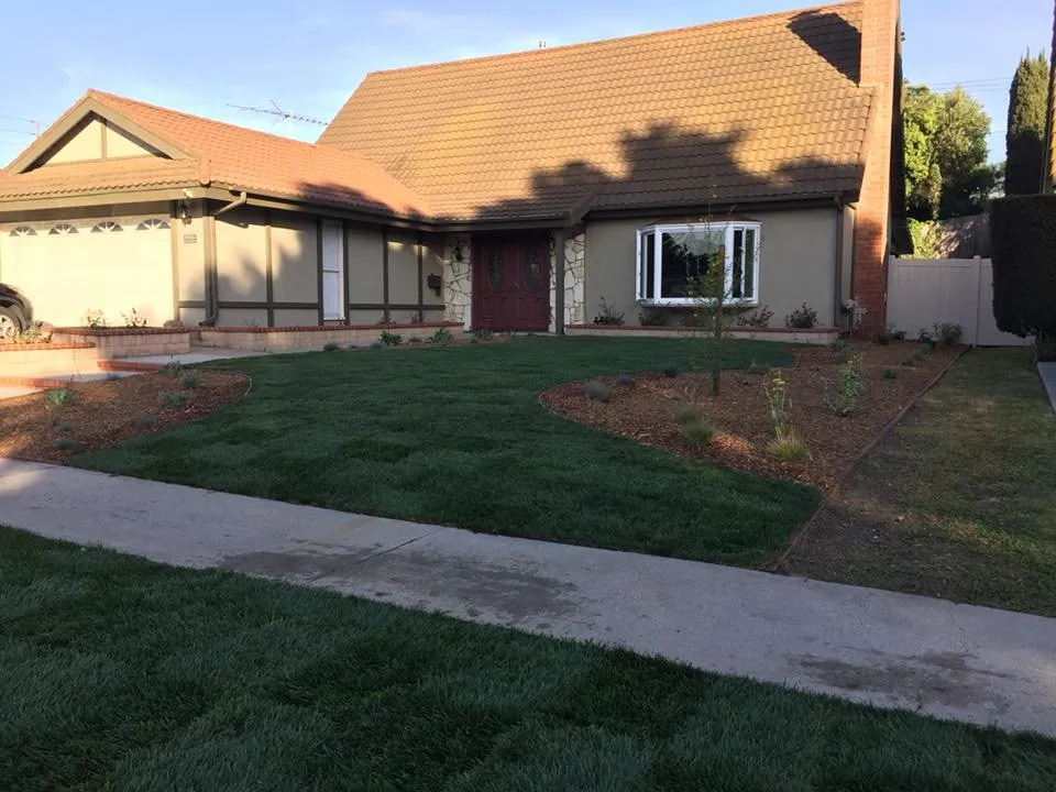 Top-rated landscaping services for year-round maintenance in Orange, CA by California Green Irrigation and Landscape