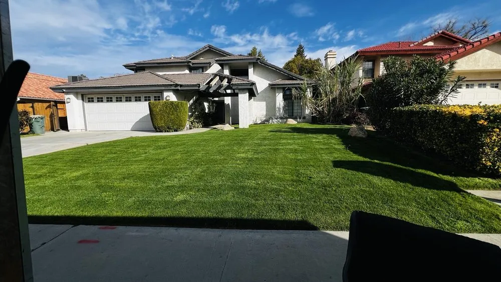 Top-rated yard cleanup service in Bakersfield, CA - California Green Landscape