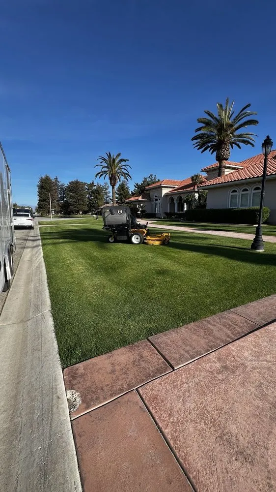 Local yard cleanup service in Bakersfield, CA - California Green Landscape