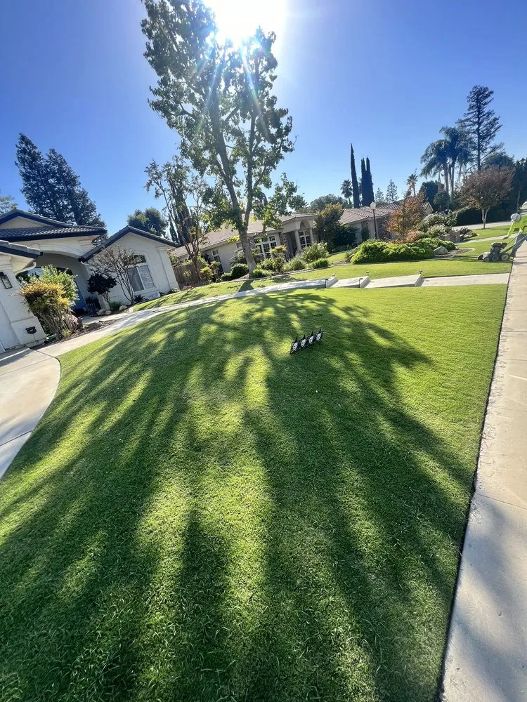 Top-rated lawn care service in Bakersfield, CA - California Green Landscape