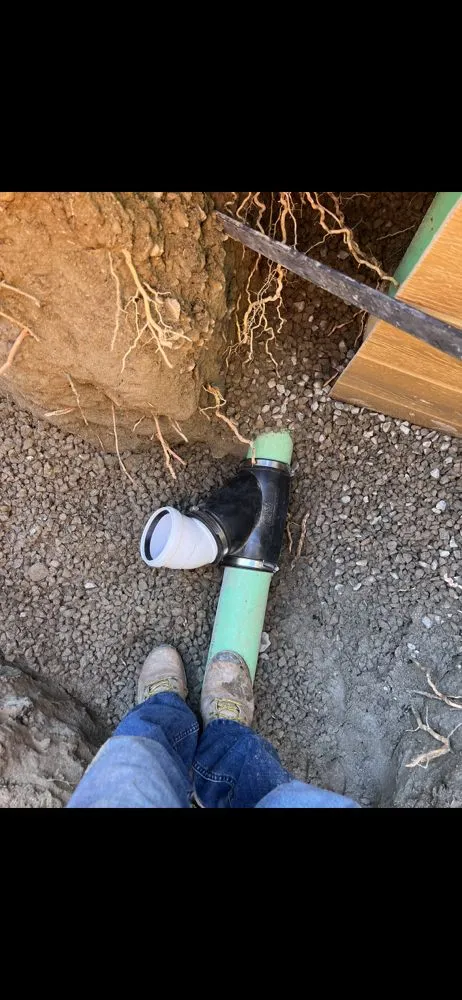 Custom yard cleanup service for outdoor upgrades in San Diego, CA by California Green System