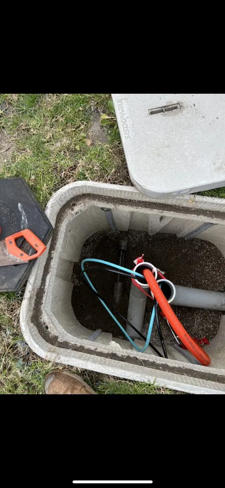 Expert yard cleanup service in San Diego, CA by California Green System