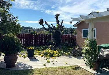 Custom landscaping services in San Diego, CA by California Green System