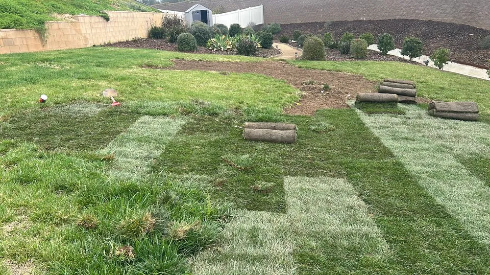 Affordable yard maintenance in Valley Center, CA by California Green Valley Landscaping