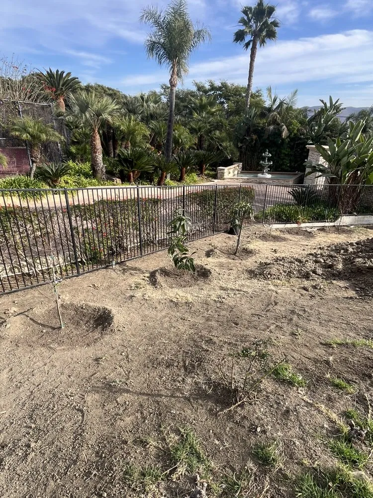 Local yard maintenance in San Juan Capistrano, CA - California Greenscapes