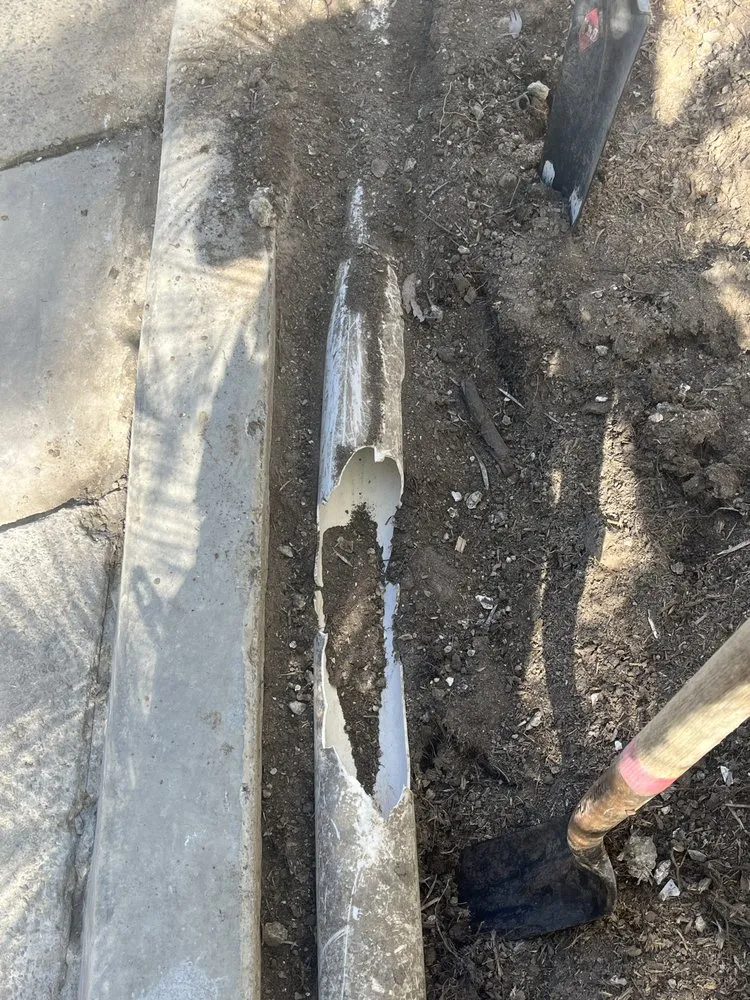 Reliable landscape installation experts serving San Juan Capistrano, CA - California Greenscapes