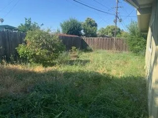 Professional yard maintenance in San Jose, CA by California Kingdom Gardens and services