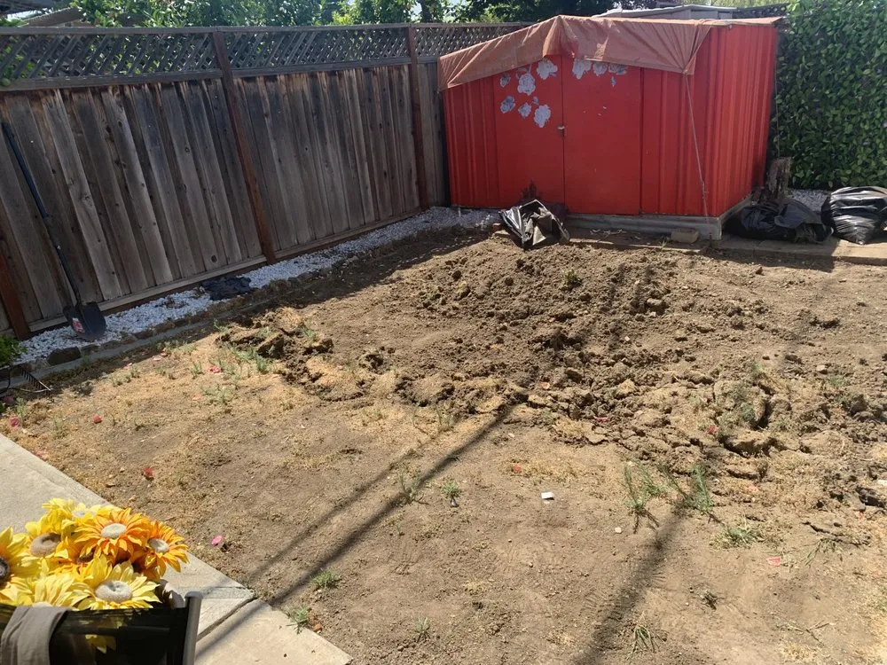 Professional lawn mowing service for residential properties across San Jose, CA - California Kingdom Gardens and services