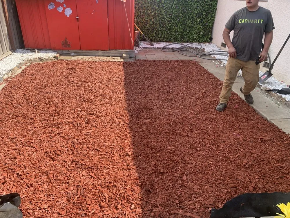 Professional yard maintenance in San Jose, CA by California Kingdom Gardens and services